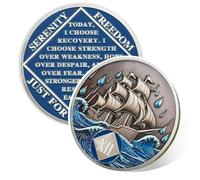 Braving The Storm - Moneda sobria de 12 años, moneda náutica NA, chip sobrio de recuperación de adicciones, ficha de celebración de aniversario de recuperación, regalos de sobriedad anónimos de