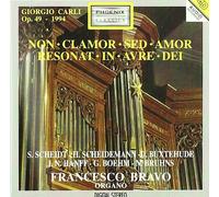 Bravo Francesco - Non Clamor Sed Amor Resonat in Avre