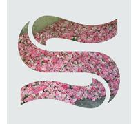 Braxe + Falcon - Step By Step (EP)