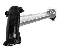 Brazo de control, suspensión de ruedas LEMFÖRDER 11005 02 eje delantero, derecha, delantero