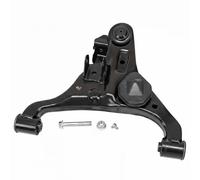 Brazo de control Eje delantero Brazo oscilante transversal 69SKV066 ESEN SKV