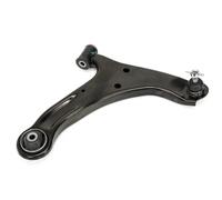 Brazo de control Eje delantero Brazo oscilante transversal 69SKV142 ESEN SKV