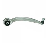 Brazo de control, suspensión de ruedas DELPHI TC3832 eje delantero, derecha, trasero