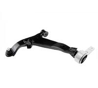 Brazo de control Eje delantero, izquierda Brazo oscilante transversal ZWD-NS-099