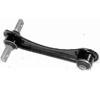Brazo de control Eje trasero Brazo oscilante transversal 24709 01 LEMFÖRDER