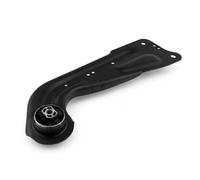Brazo de control Eje trasero, derecha Brazo oscilante longitudinal ZWT-VW-029