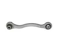 Brazo de control Eje trasero, derecha Brazo oscilante oblicuo 95-90849-1 RTS