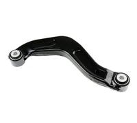 Brazo de control Eje trasero, derecha Brazo oscilante oblicuo ZWT-VW-006 NTY