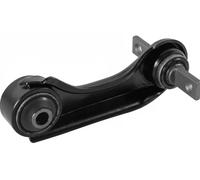 Brazo de control Eje trasero, derecha Brazo oscilante transversal 41204