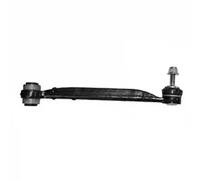 Brazo de control Eje trasero, derecha Brazo oscilante transversal 95-91427 RTS