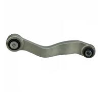 Brazo de control Eje trasero, derecha Brazo oscilante transversal TC3377 DELPHI