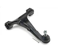 Brazo de control Eje trasero, derecha Brazo oscilante transversal ZWT-HY-516 NTY