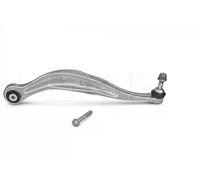 Meyle Brazo de control trasero izquierdo 316 050 0123/S para BMW Serie 5 (F07/F11)