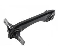 Brazo de control Eje trasero izquierda Brazo oscilante transversal S060495 GSP