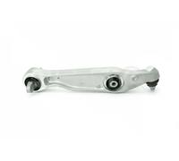 Brazo de control posterior Brazo oscilante longitudinal 35675 SIDEM