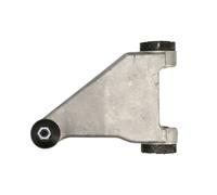 Brazo de control, suspensión de ruedas DELPHI TC1269 eje delantero, izquierda, delantero