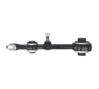 Brazo de control, suspensión de ruedas DELPHI TC1383 eje delantero, izquierda, trasero
