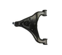 Brazo de control, suspensión de ruedas DELPHI TC2128 eje delantero, izquierda, delantero
