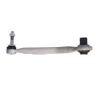 Brazo de control, suspensión de ruedas DELPHI TC2954 eje trasero, izquierda, trasero