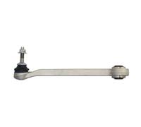 Brazo de control, suspensión de ruedas DELPHI TC3011 eje trasero, izquierda, trasero