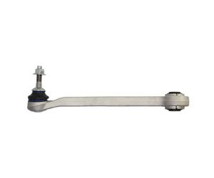 Brazo de control, suspensión de ruedas DELPHI TC3011 eje trasero, izquierda, trasero