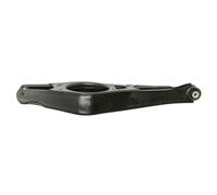Brazo de control, suspensión de ruedas DELPHI TC3405 eje trasero, izquierda, derecha, trasero