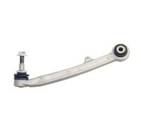 Brazo de control, suspensión de ruedas DELPHI TC3586 eje delantero, izquierda, trasero