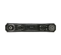 Brazo de control/suspensión de ruedas DELPHI TC5805 delantero/izquierda/derecha/parte inferior