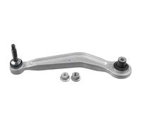 Brazo de control, suspensión de ruedas LEMFÖRDER 13202 02 eje trasero, izquierda, trasero