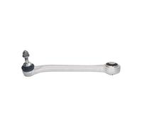 Brazo de control, suspensión de ruedas MEYLE 3160500041 eje trasero, izquierda, trasero