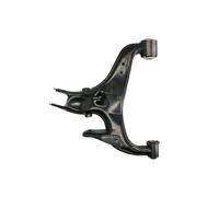 Brazo de control, suspensión de ruedas REINHOCH RH04-5047 eje trasero, izquierda, parte inferior