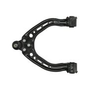 Brazo de control, suspensión de ruedas REINHOCH RH04-6045 eje delantero, izquierda, delantero