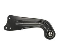 Brazo de control, suspensión de ruedas REINHOCH RH05-0008 eje trasero, izquierda, trasero