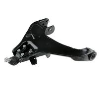 Brazo De Suspensión Inferior Izquierdo Para Hyundai Terracan 01-06