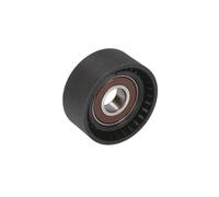 Brazo tensor, correa en V BTA E2B0048BTA