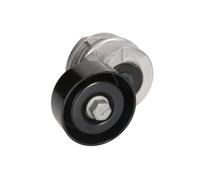 Brazo tensor, correa en V INA 534 0341 10