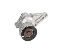 INA 534 0633 10 Tensor de correa poli V