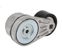 Brazo tensor, correa poli V GATES T38613