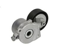 Brazo tensor, correa poli V HERTH+BUSS JAKOPARTS J1142105 para C1 II 1 2014-2018