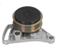 Brazo tensor, correa poli V INA 531 0309 10 para AUDI A4 B5 (8D2) 1.6 1994-2000