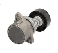Brazo tensor, correa poli V INA 533 0017 10 para CLASE C (W203) 3 2003-2007