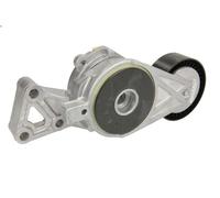 Brazo tensor, correa poli V INA 533 0076 30 para AUDI A3 (8P1) 2 2003-2008