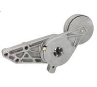 Brazo tensor, correa poli V INA 533 0077 30 para AUDI A4 B5 (8D2) 1.6 1994-2000