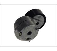 Brazo tensor, correa poli V INA 534 0053 10 para FIAT IDEA (350_) 1.3 2008-2012