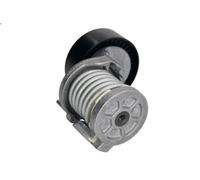 Brazo tensor, correa poli V INA 534 0164 10 para AUDI A3 (8P1) 2 2003-2012