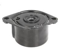 Brazo tensor, correa poli V INA 534 0170 10 para BMW 3 (E46) 2 2003-2005