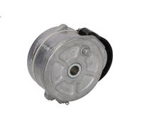 Brazo tensor, correa poli V INA 534 0255 10 para XSARA (N1) 1.9 2000-2005