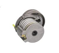 Brazo tensor, correa poli V INA 534 0346 10 para VW GOLF V (1K1) 1.4 2005-2008