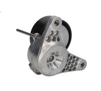 Brazo tensor, correa poli V INA 534 0552 10 para AUDI Q5 (8RB) 2 2010-2017