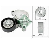 Brazo tensor, correa poli V INA 534 0571 10 para BMW X1 (F48) 2 2015-2021